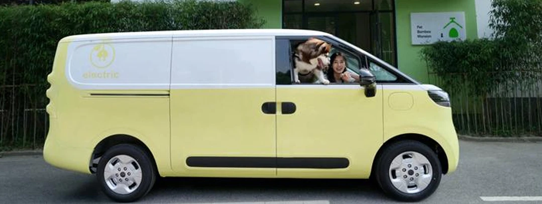 Eco-Friendly and Ready for Anything